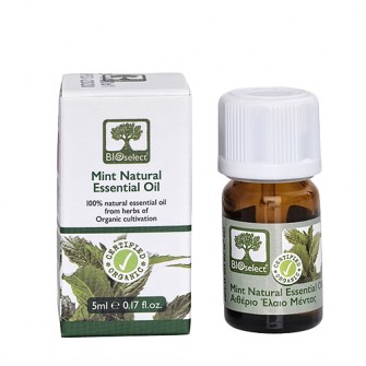 Bioselect Minze - Bio-Anbau