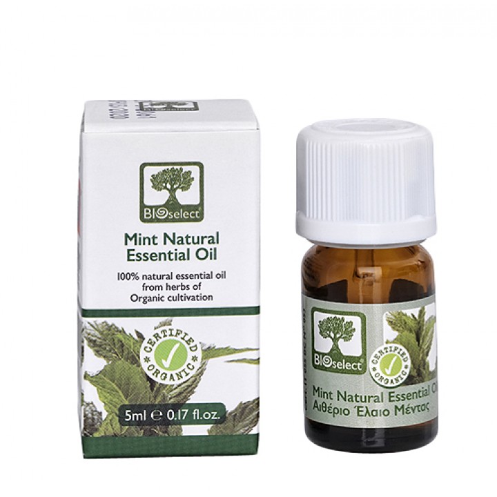 Bioselect Minze - Bio-Anbau