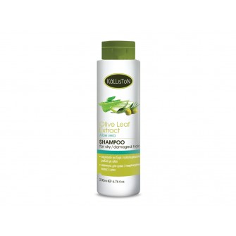 Kalliston Shampoo für trockenes / strapaziertes Haar mit Aloe Vera