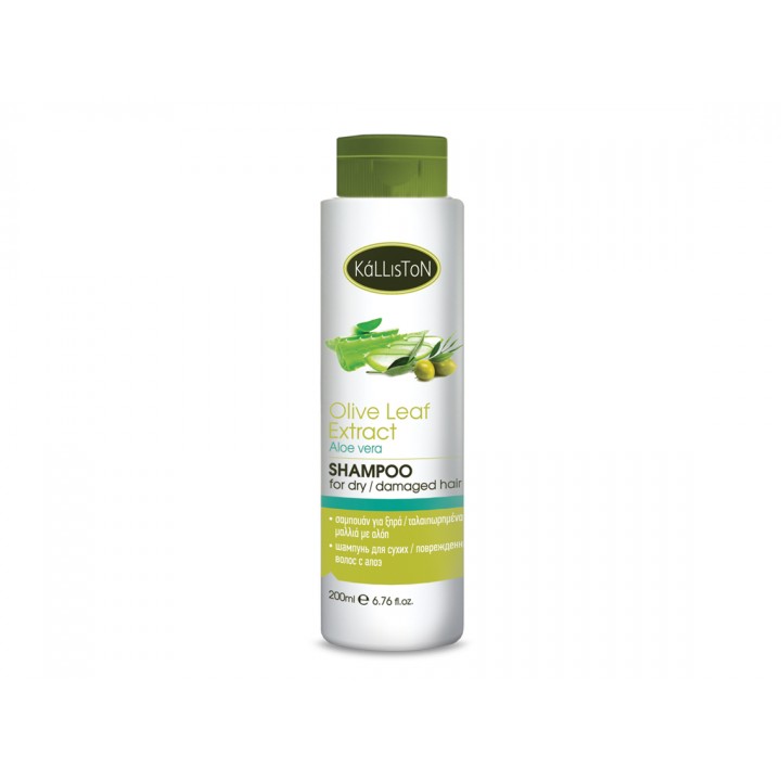 Kalliston Shampoo für trockenes / strapaziertes Haar mit Aloe Vera