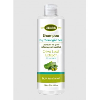 Kalliston Shampoo for dry/damaged hair with aloe vera