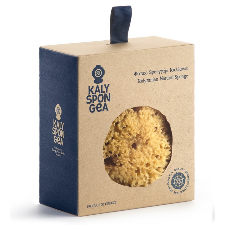 Natürliches Wabenschwammbraun