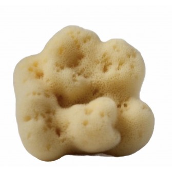 Feiner Seidenschwamm weiß